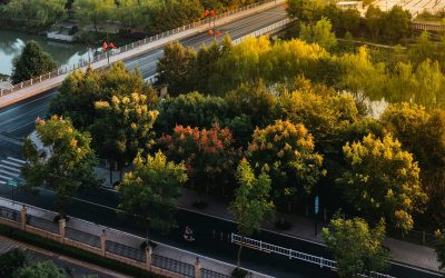 Galați: Patru păduri urbane, cu bani PNRR, oaza de verdeață pentru locuitori