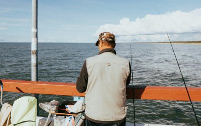 UE recunoaște eșecul planului de pescuit în Marea Baltică: Revizuire urgentă