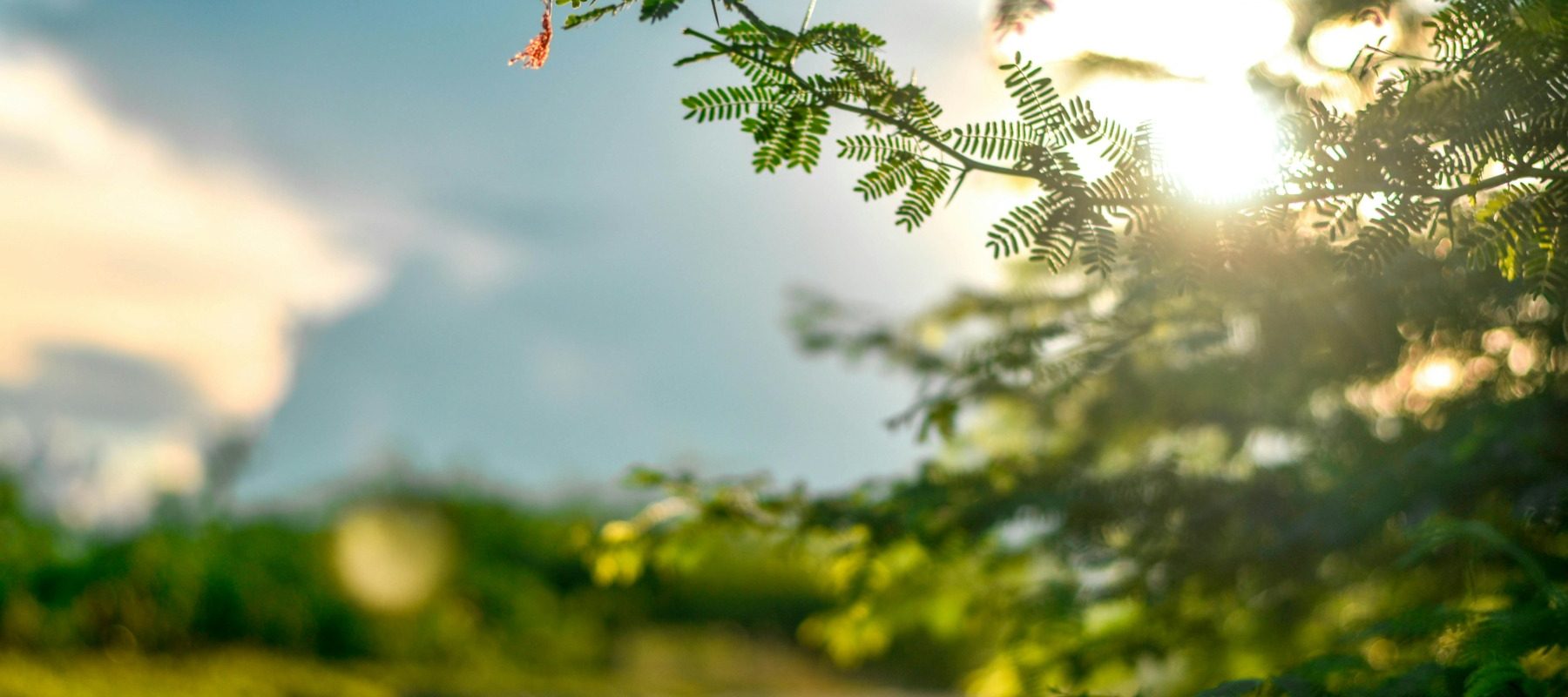 Pielea „iese din iarnă”: Ce pericole ascund primele raze de soare