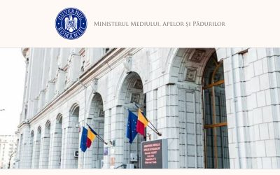 Modificări la compensații pentru masa lemnoasă: Guvernul dă, cine încasează?