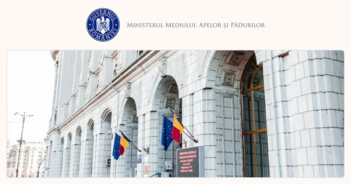 Modificări la compensații pentru masa lemnoasă: Guvernul dă, cine încasează?