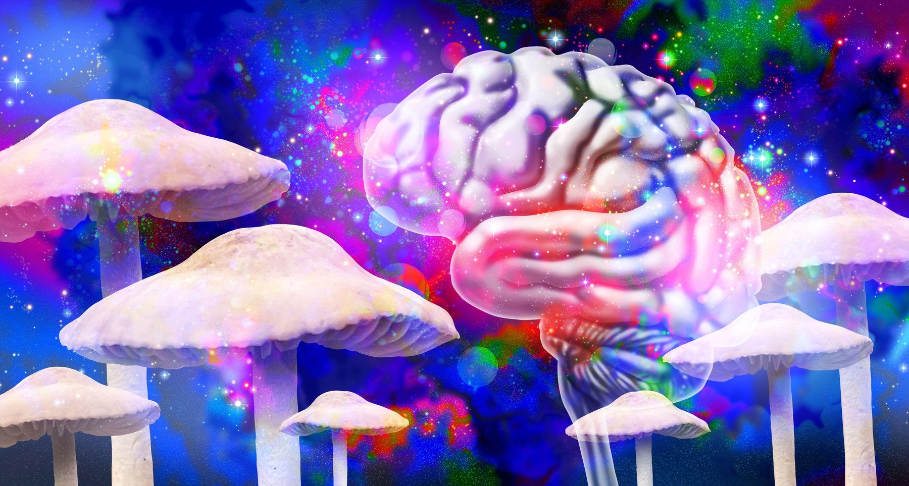 O echipă de cercetători de la Institutul de Științe Weizmann a creat o plantă modificată genetic, capabilă să producă simultan cinci compuși psihedelici diferiți