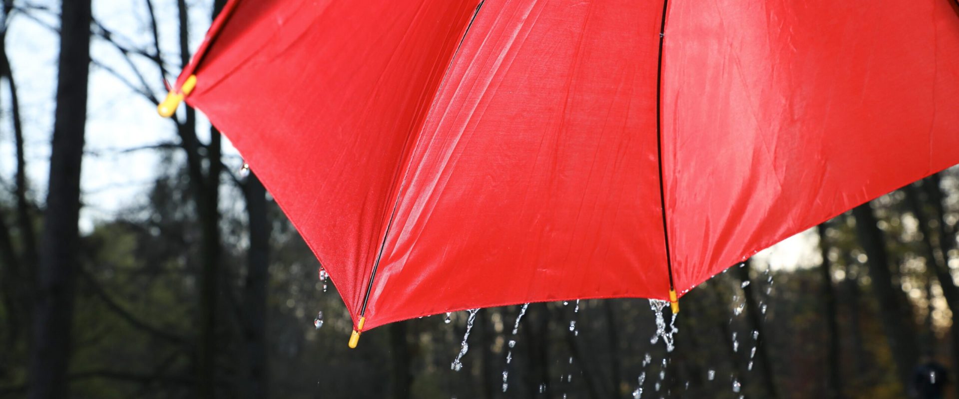 Taxă pentru apa de ploaie: Ce trebuie să știe proprietarii din România despre costuri