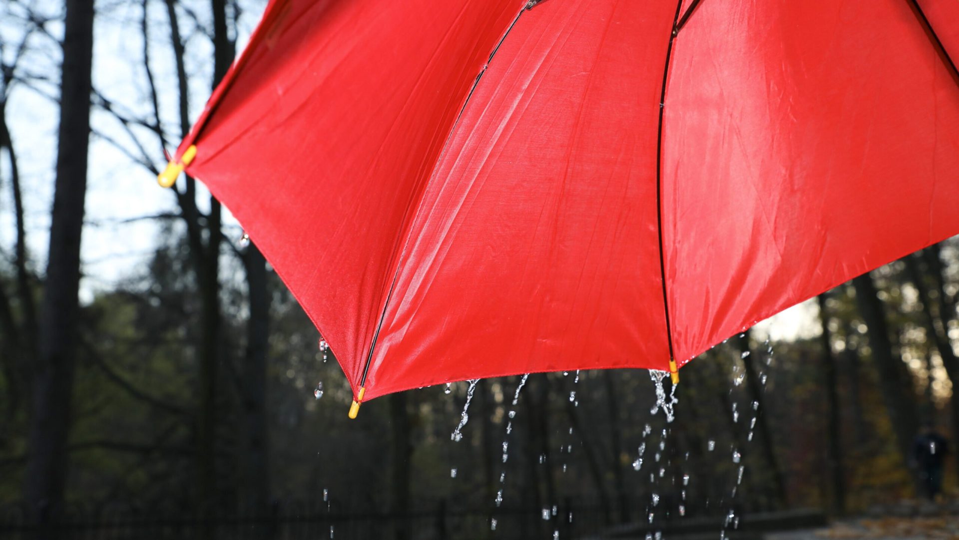 Taxă pentru apa de ploaie: Ce trebuie să știe proprietarii din România despre costuri