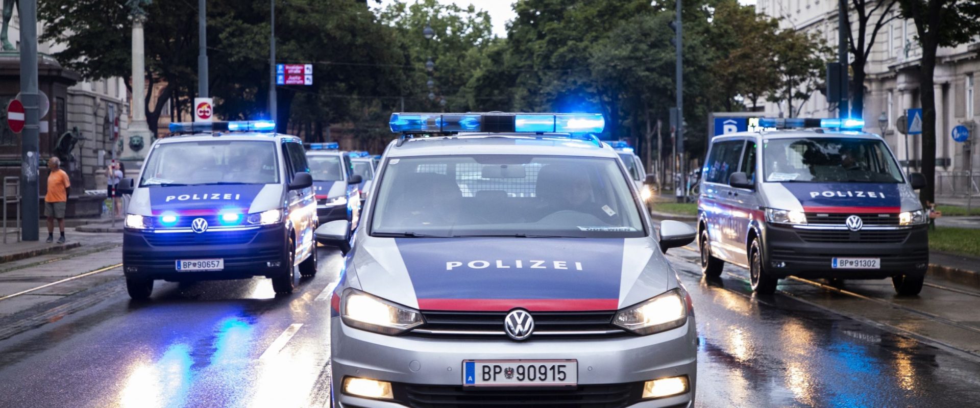 Viena: Bandă de escroci români, prinsă de poliție. Cum acționau?