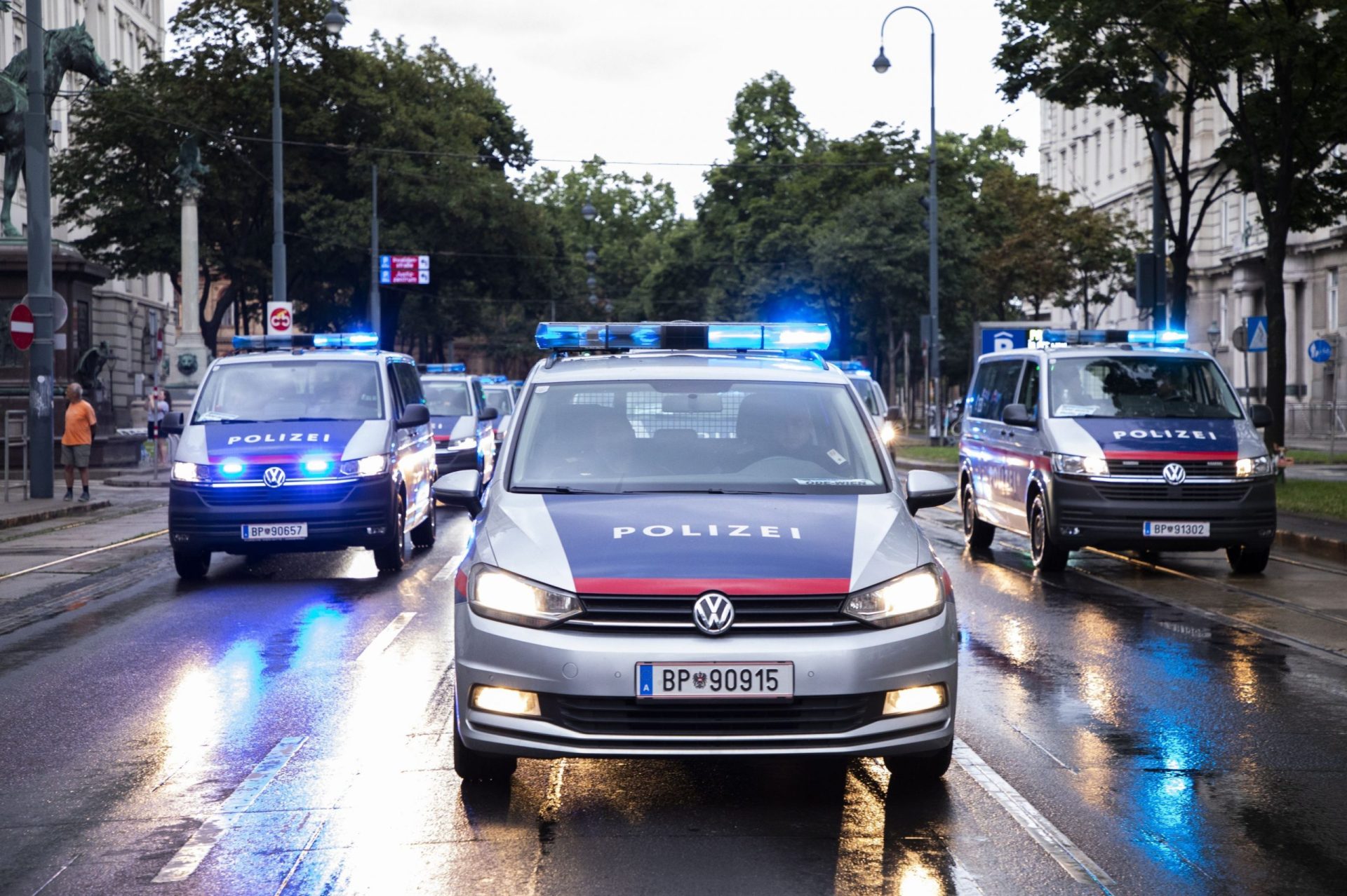 Viena: Bandă de escroci români, prinsă de poliție. Cum acționau?