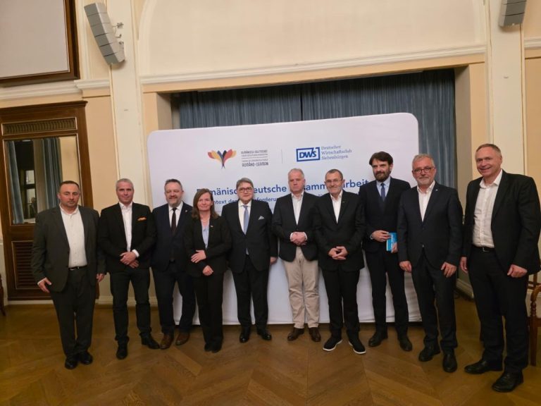 Germanii avertizează: Investițiile în România, blocate de instabilitate?