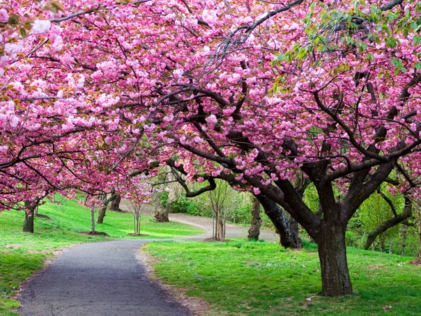 Vremea ne va zâmbi: ANM anunță timp mai cald și ploi puține în România