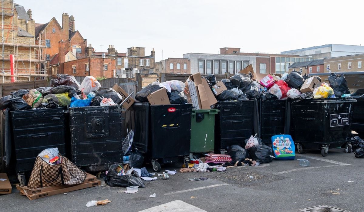 Bărbatul care scormonește de-un deceniu prin gunoi după averea digitală