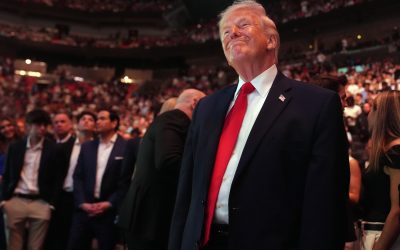 Cum au făcut milioane, pariind pe deciziile lui Trump, cu ponturi