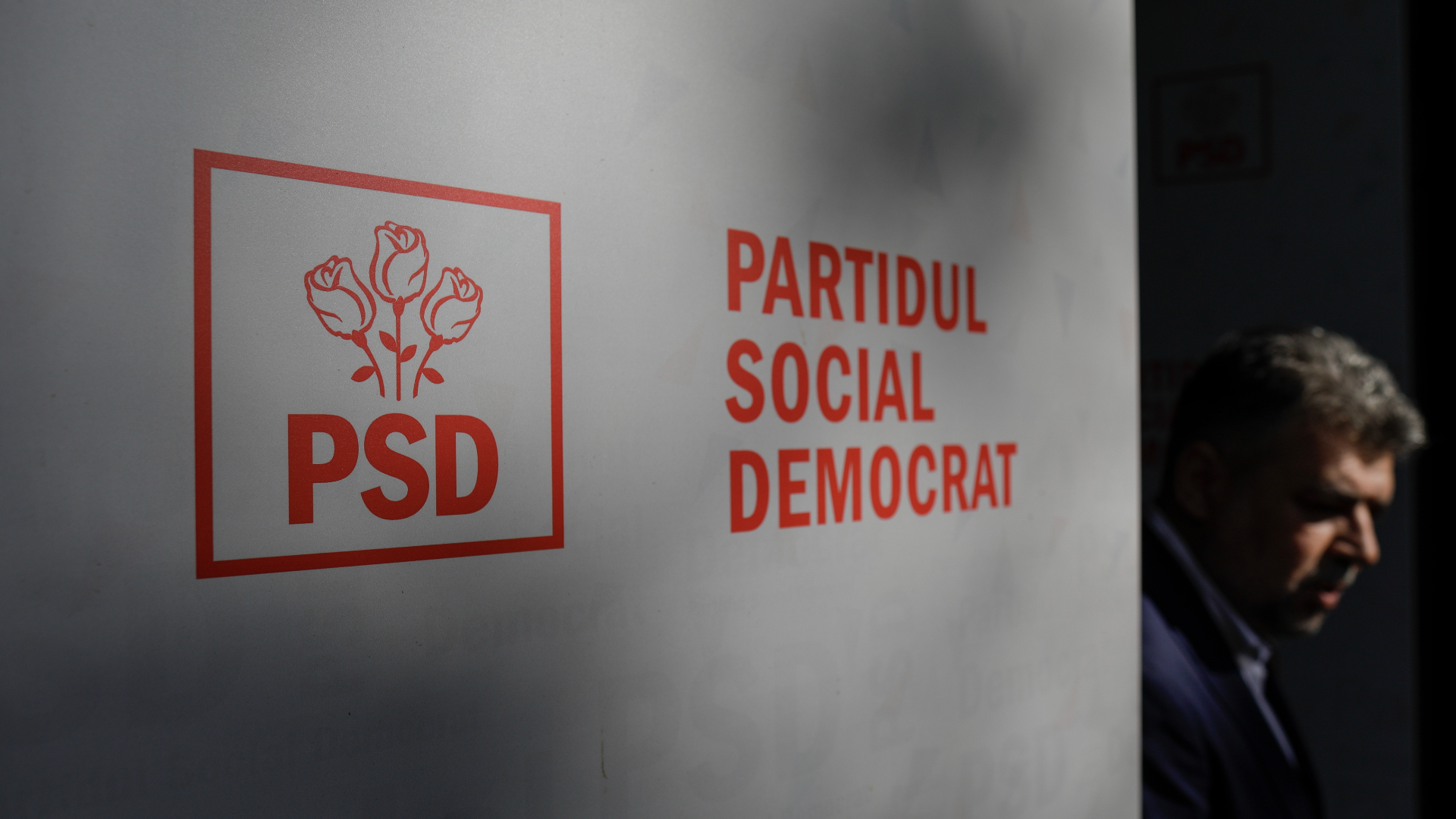 PSD, respins de autorități: Reclamația privind „șobolanii” nu a fost acceptată