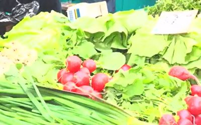 Observator cere lege anti-toxice: Exemplul Danemarca, piețe mai sigure