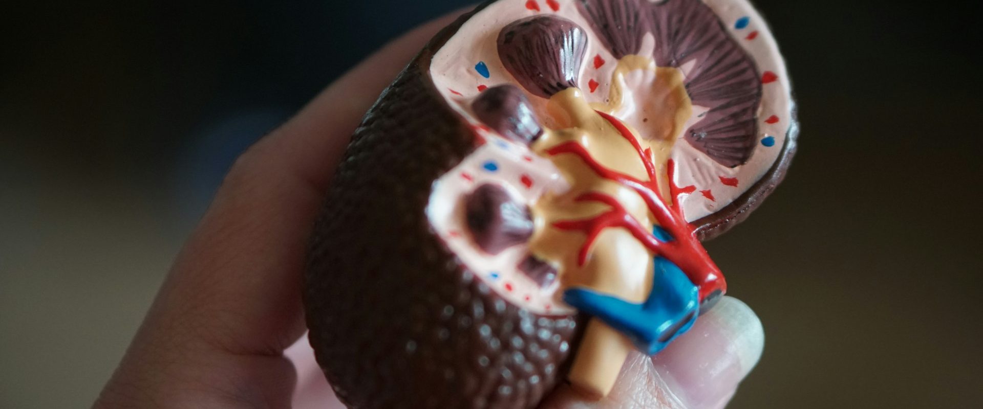 Patriciu Achimaș-Cadariu, dat în judecată: A uitat o clemă într-o pacientă, cerere de 250.000 euro