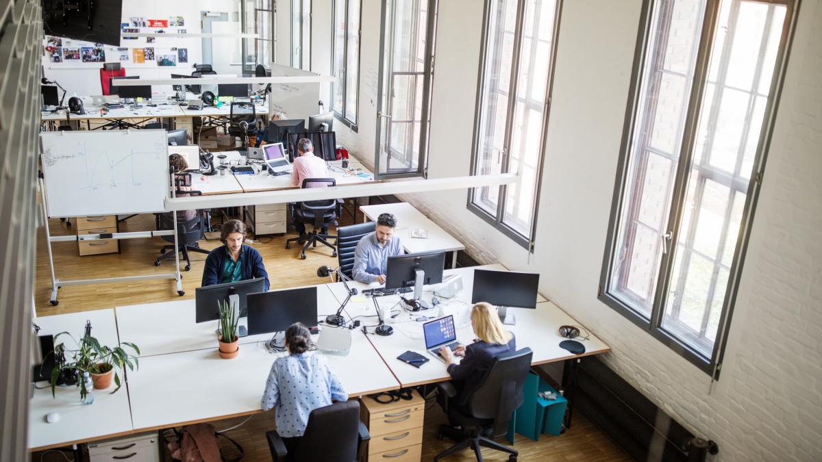 Liberalii propun o nouă zi liberă legală pentru români