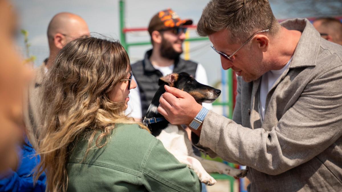 S-a deschis primul centru județean de adopții canine în Ilfov
