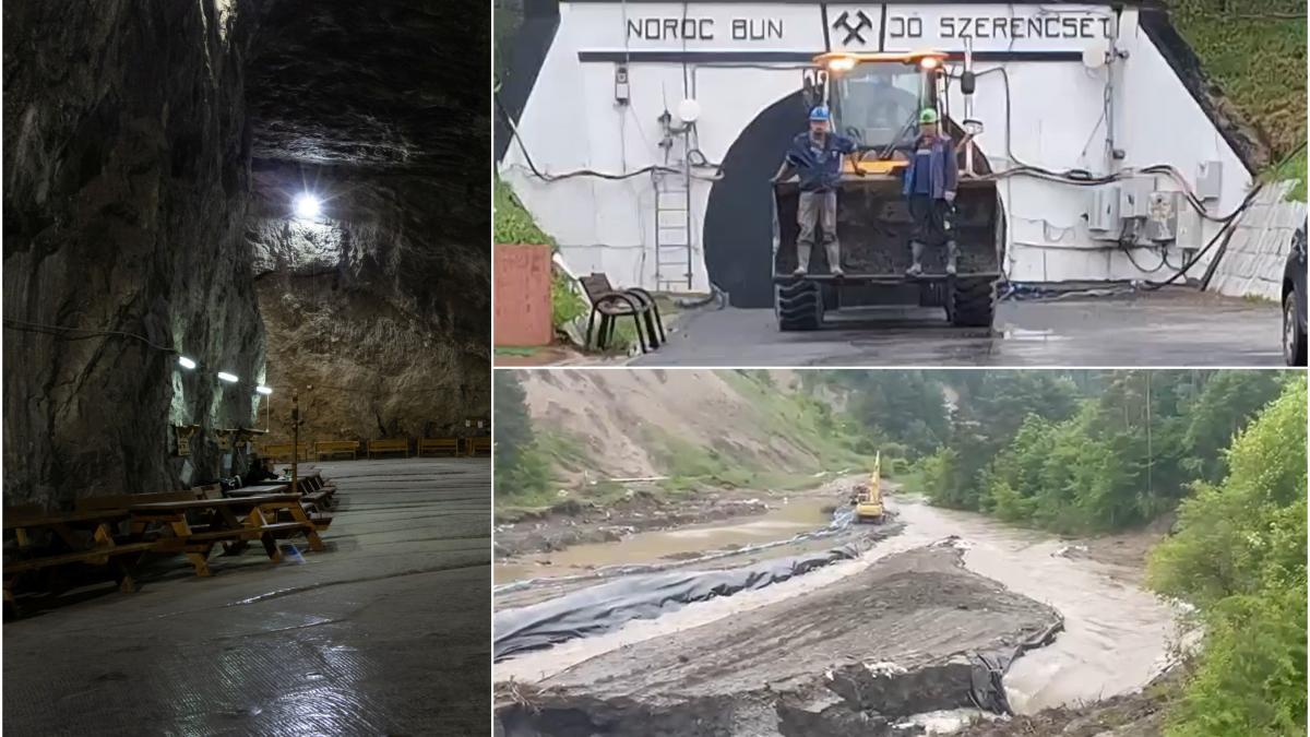 Salrom, acuzată de Darău după Praid: Doi angajați dau vina pe castori