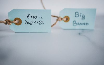 Brandurile mici din România, „David” în lupta cu „Goliații” multinaționali