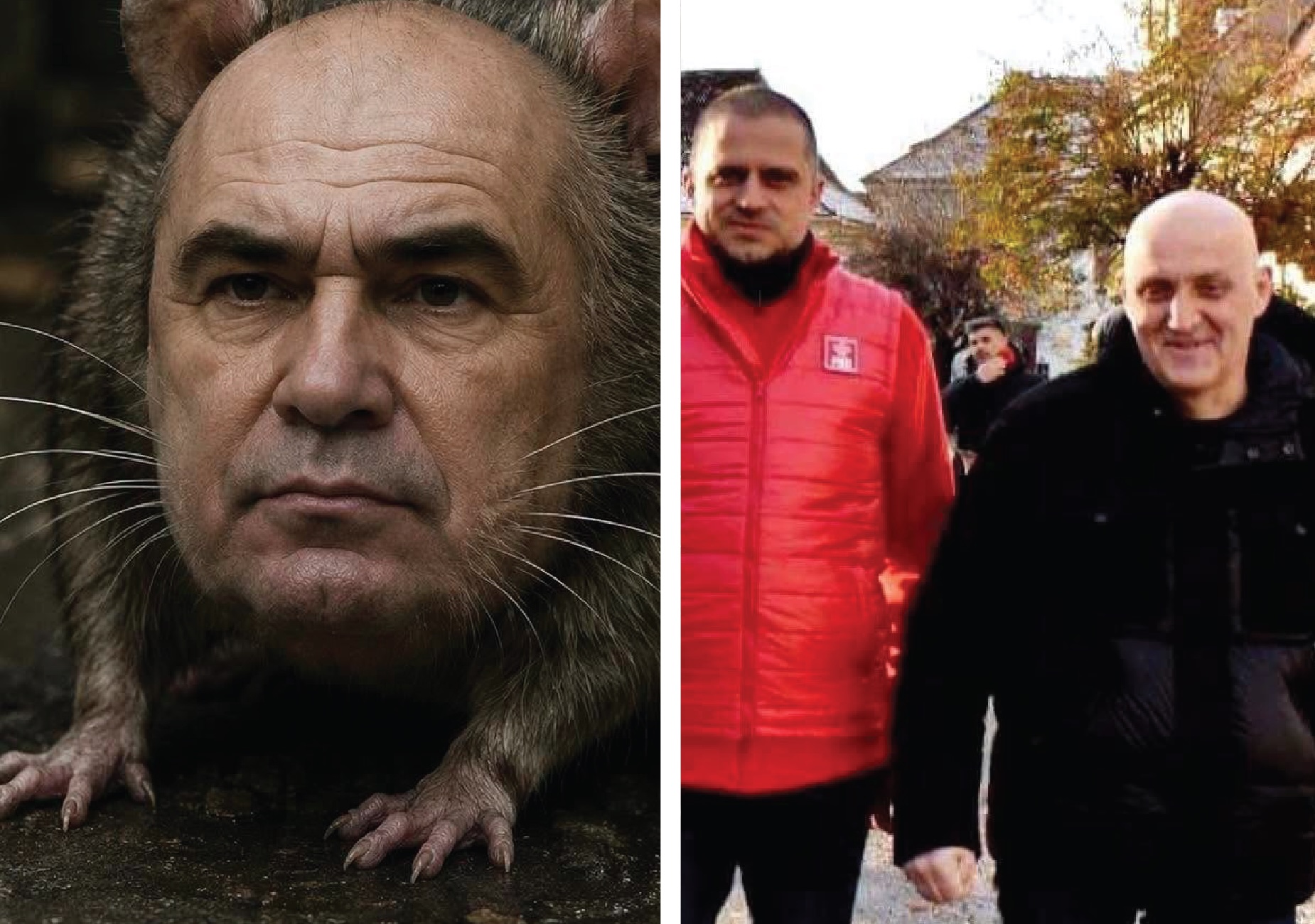 Disonanța cognitivă: Cum ne mințim pe noi înșine, zilnic
