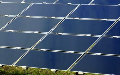 Șase bărbați din Buzău și Vrancea, arestați pentru furt dintr-un parc fotovoltaic