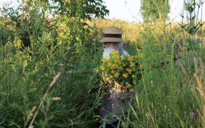 Câlția revine la Sibiu: Expoziția care explorează temele sale recurente