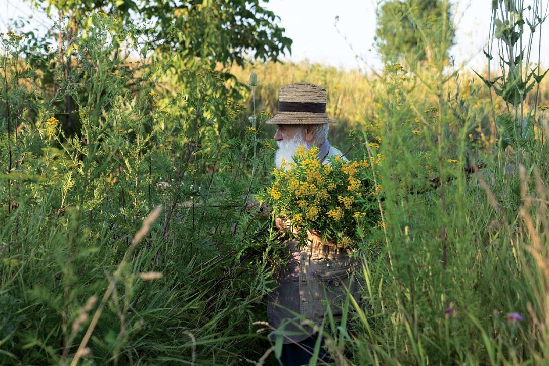 Câlția revine la Sibiu: Expoziția care explorează temele sale recurente