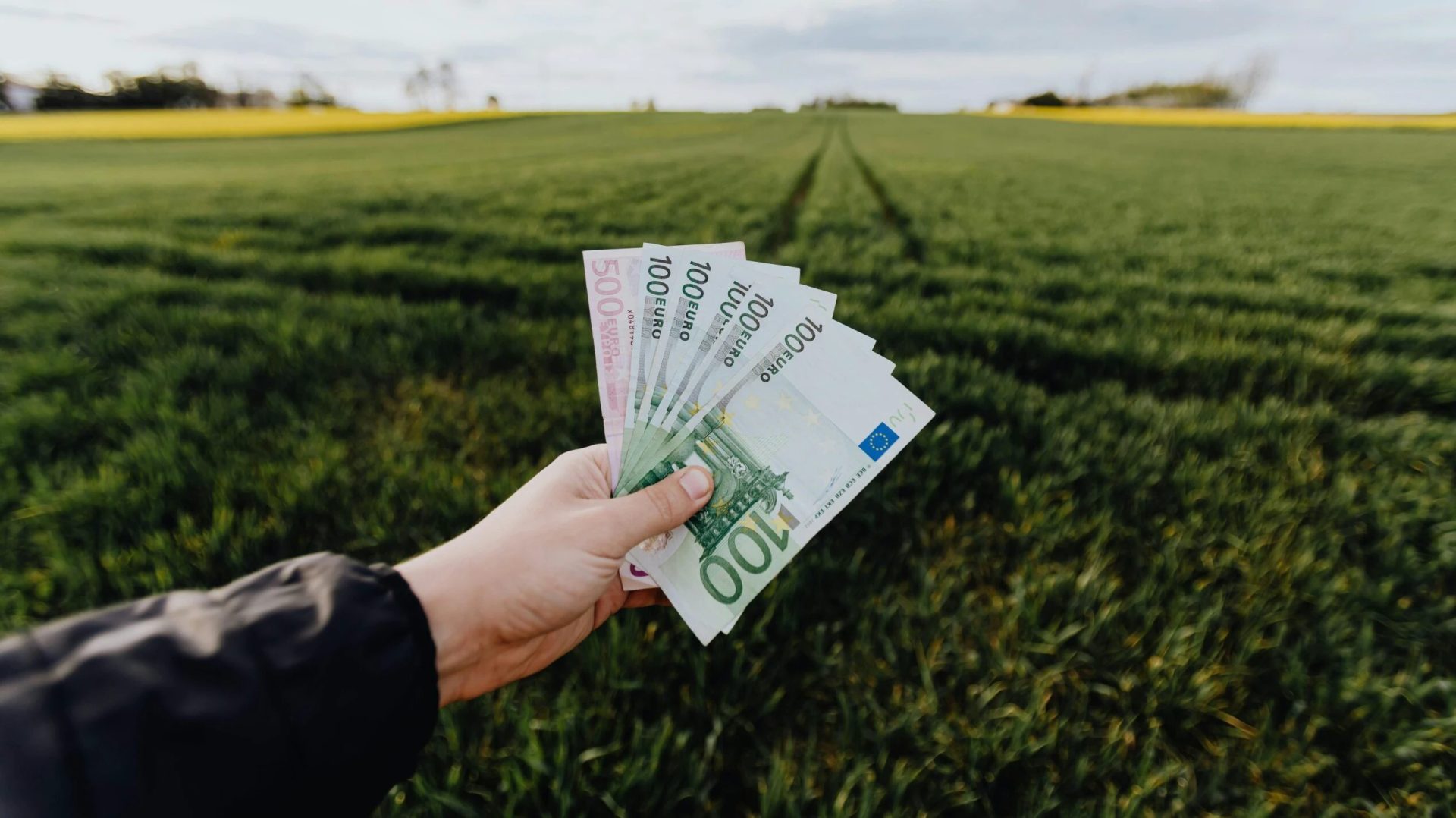 Ministrul agriculturii schimbă regulile subvențiilor: Ce trebuie să facă fermierii din 2028?