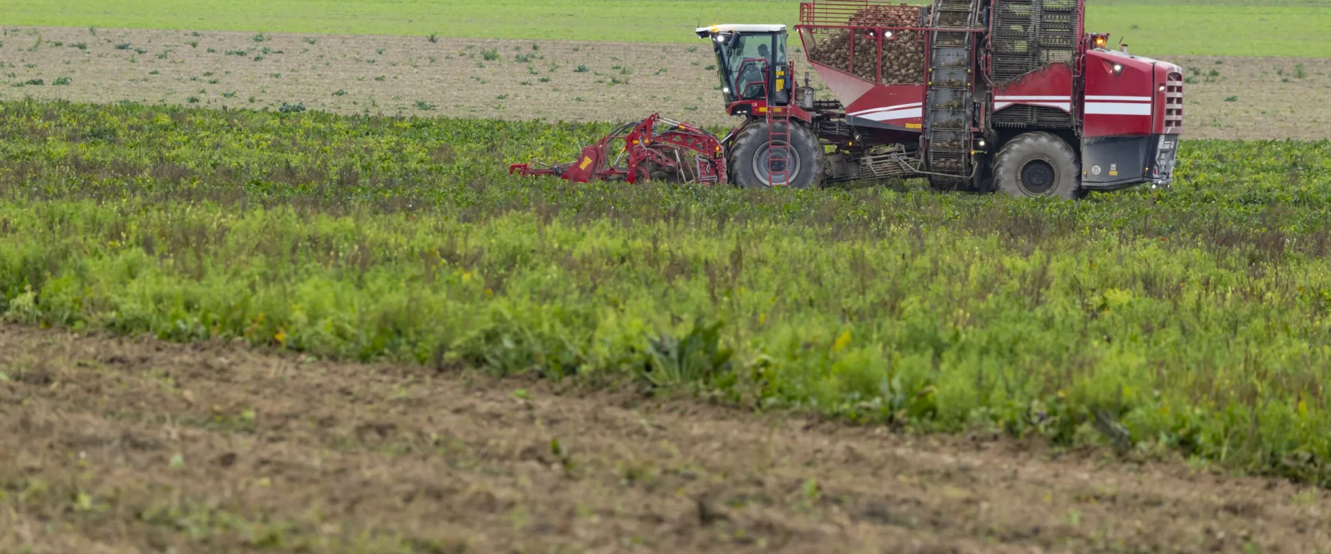 Vremea din România: Agricultorii pot răsufla ușurați, specialiștii prognozează condiții favorabile pentru culturi București – Veștile sunt bune pentru agricultorii români