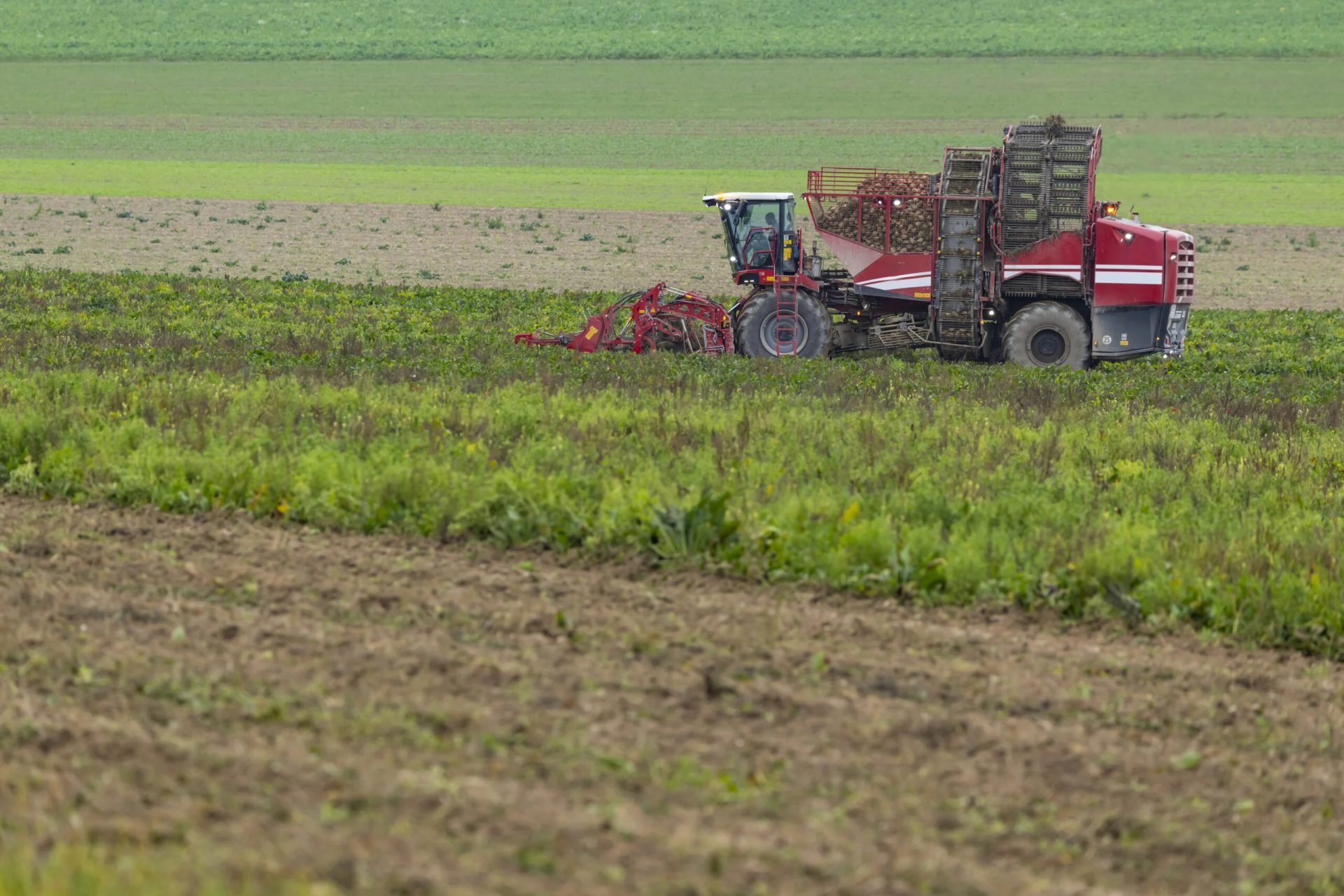 Vremea din România: Agricultorii pot răsufla ușurați, specialiștii prognozează condiții favorabile pentru culturi București – Veștile sunt bune pentru agricultorii români