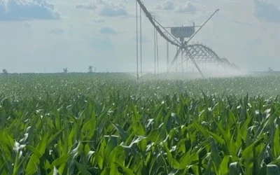 Danezi de la JD Agro Cocora, pe profit după recolte bogate în România