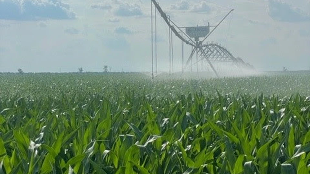 Danezi de la JD Agro Cocora, pe profit după recolte bogate în România