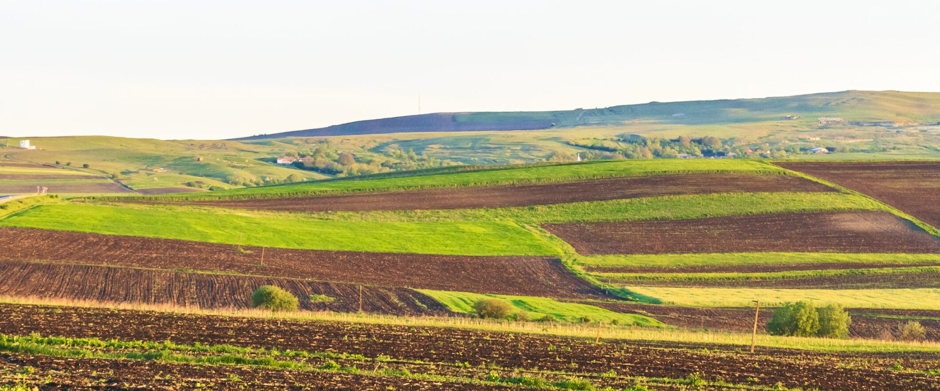 Arenda 2026: Ce drepturi și obligații au arendatorii și arendașii din România?