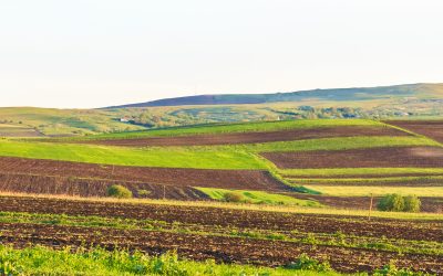 Arenda 2026: Ce drepturi și obligații au arendatorii și arendașii din România?