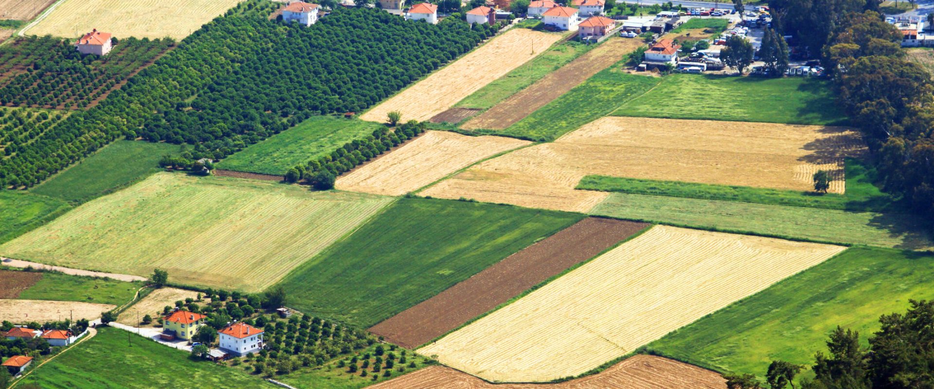 Cumpără un teren în 2026: Lista documentelor obligatorii pentru vânzare