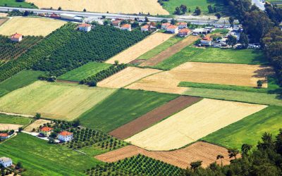 Cumpără un teren în 2026: Lista documentelor obligatorii pentru vânzare