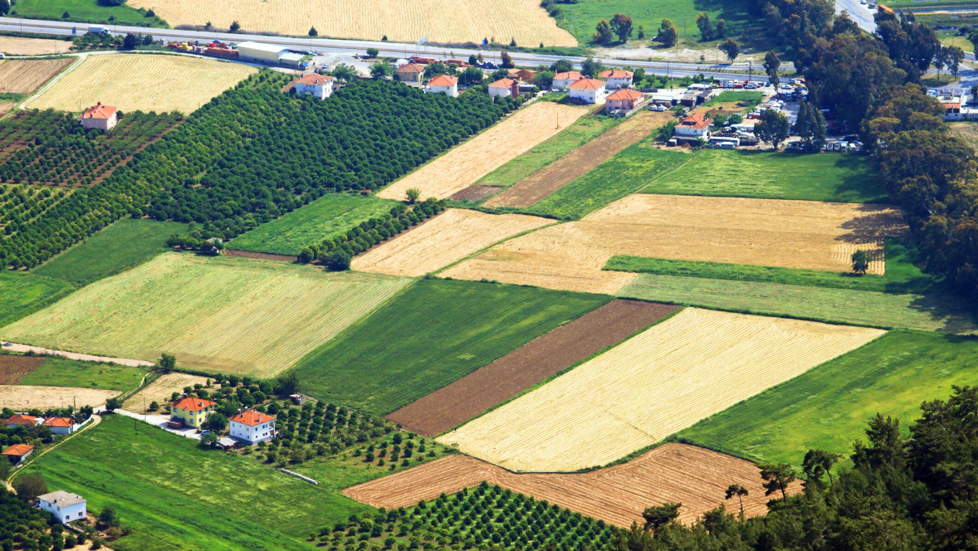 Cumpără un teren în 2026: Lista documentelor obligatorii pentru vânzare