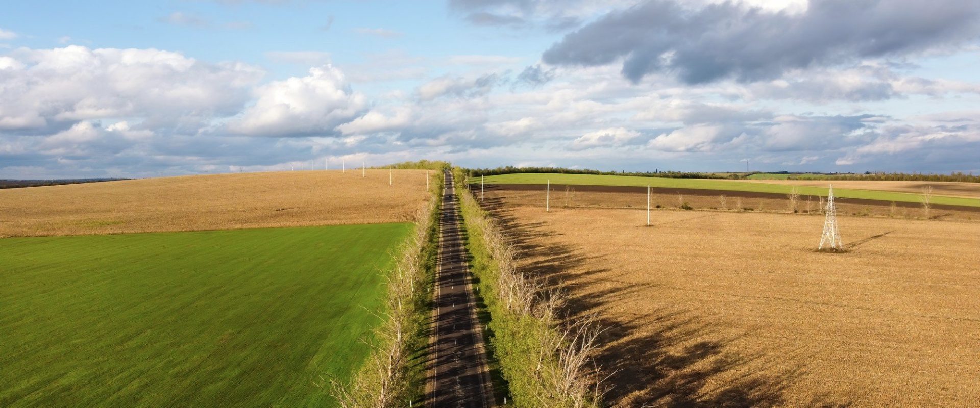 Ocupare ilegală de teren: Ce riscă proprietarii și cum își recuperează terenul