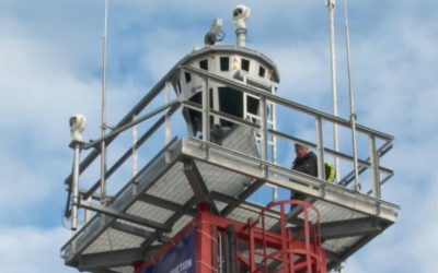 Piloții, mustrați după ce au râs de animale pe radio în timpul zborului