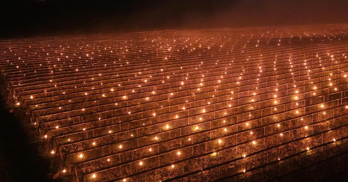 Fermă din Cluj, soluție extremă anti-îngheț: A dat foc la 40.000 de euro