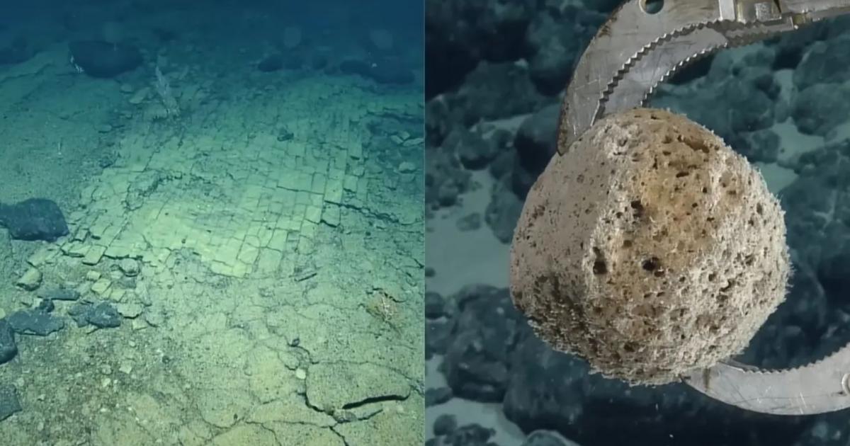 Misterul Pacificului: Un „drum” secret pe fundul oceanului uimește cercetătorii