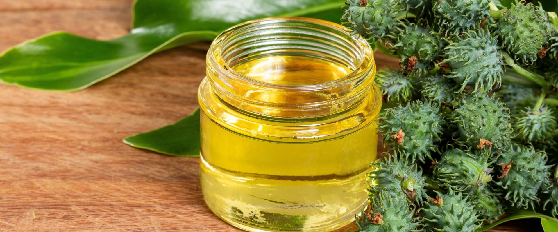 Uleiul de ricin: Mituri și adevăruri. Ce spune știința despre beneficii