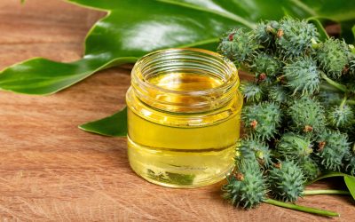 Uleiul de ricin: Mituri și adevăruri. Ce spune știința despre beneficii