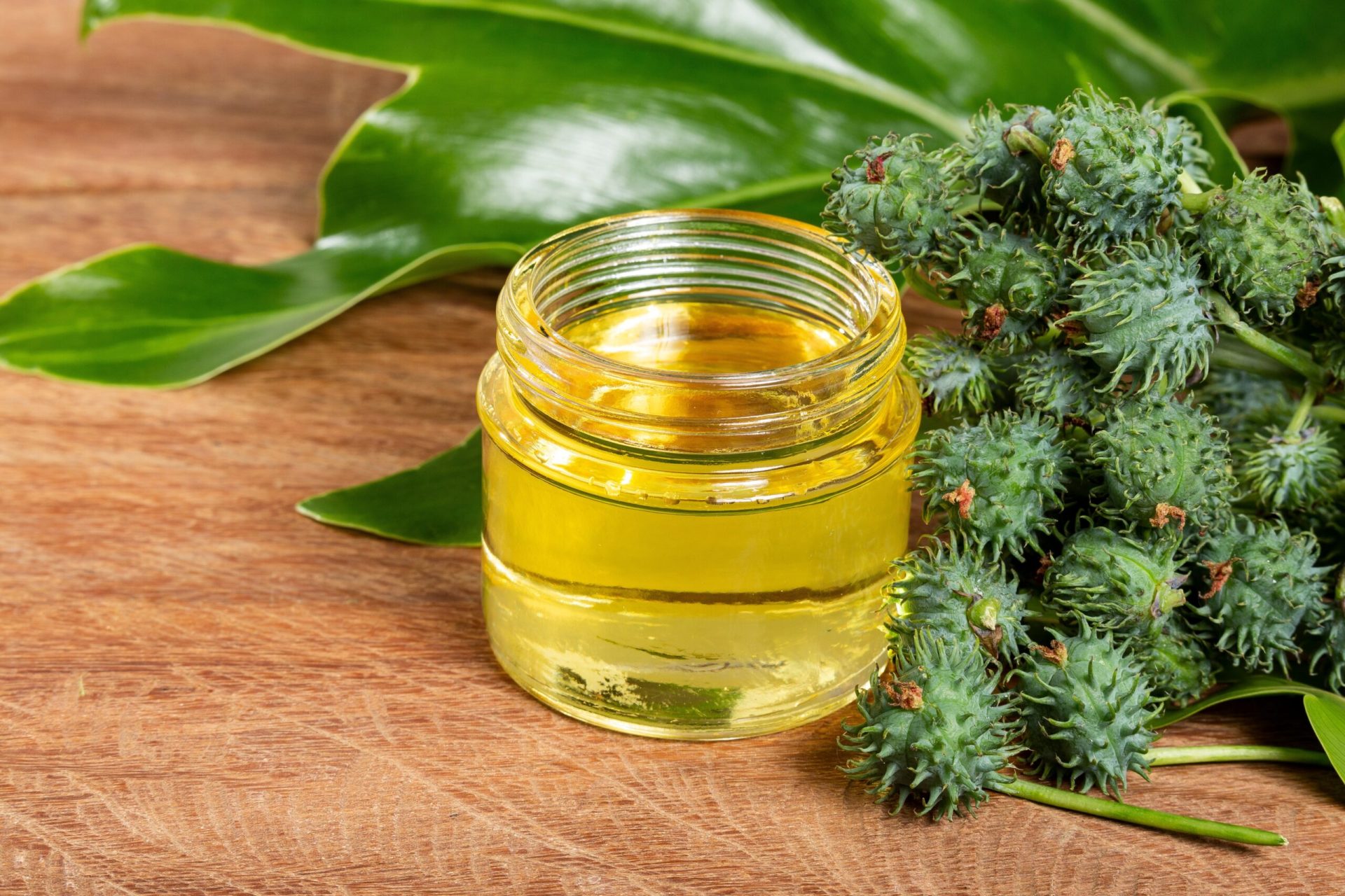 Uleiul de ricin: Mituri și adevăruri. Ce spune știința despre beneficii