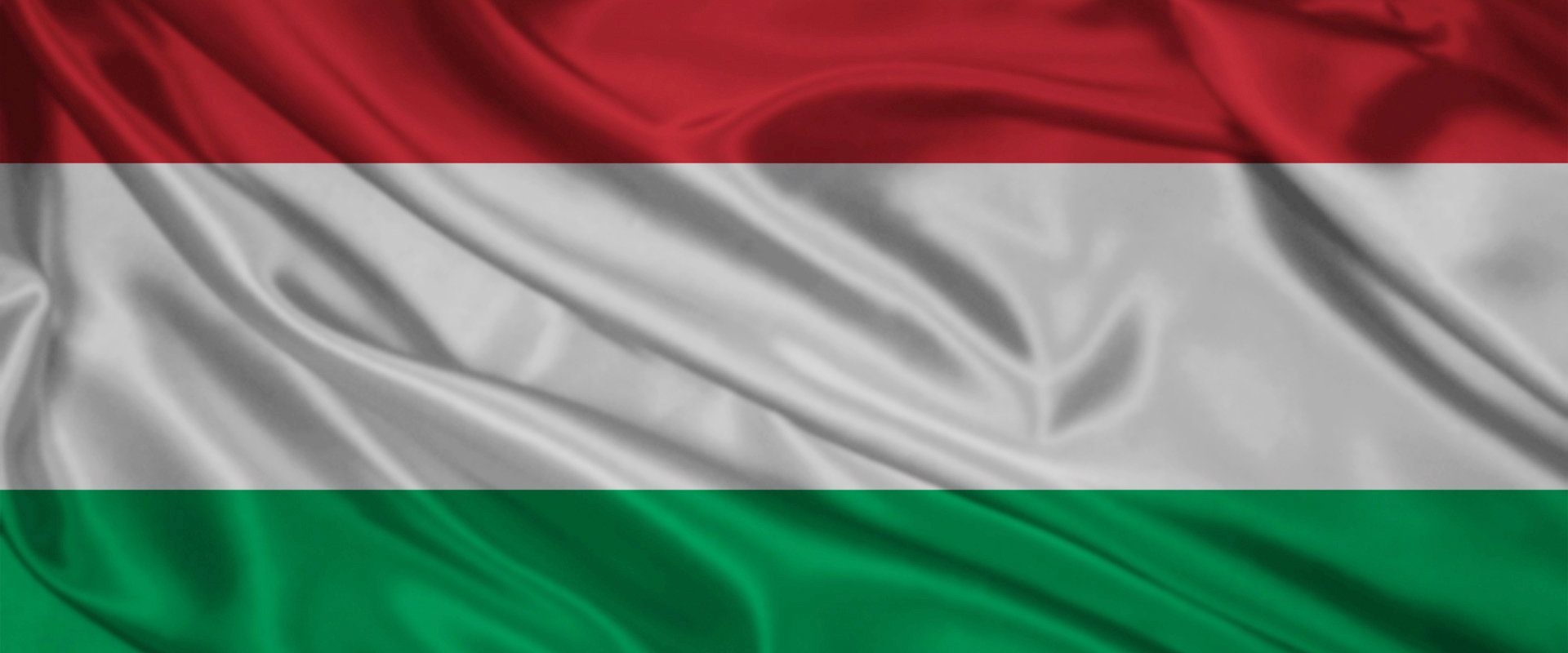 Magyar, liderul opoziției ungare, „prudent optimist” înaintea alegerilor