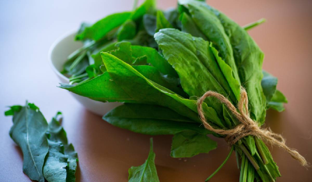 Verdețurile, secretul scăderii tensiunii arteriale: Ce spun specialiștii