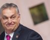 Cum manipulează algoritmii electorali: Orban, promovat de conturi false