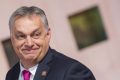 Cum manipulează algoritmii electorali: Orban, promovat de conturi false