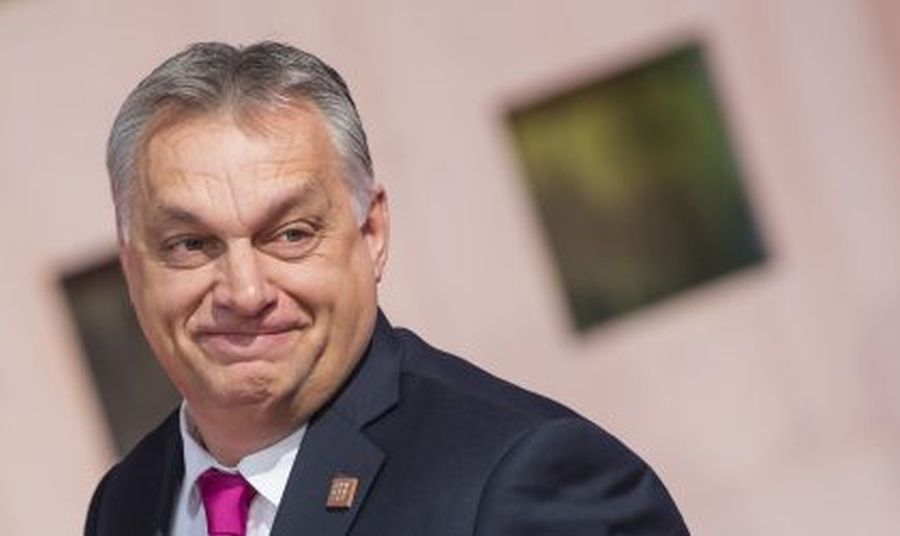 Cum manipulează algoritmii electorali: Orban, promovat de conturi false