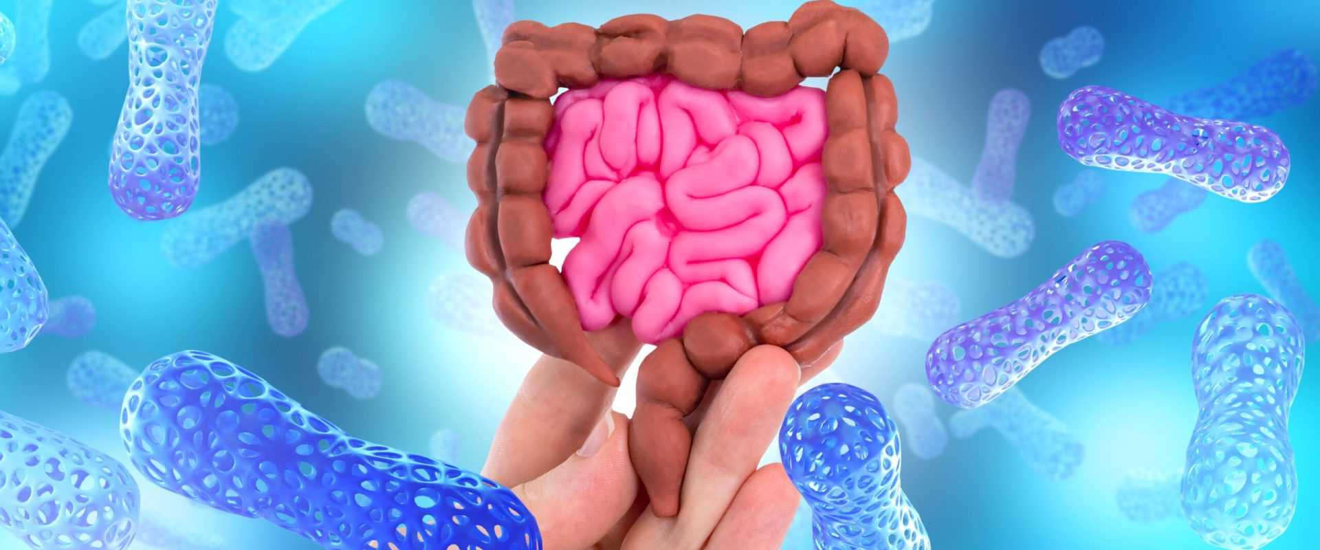 O proteină din intestin luptă cu bacteriile: Ce descoperire!