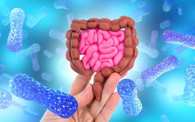 O proteină din intestin luptă cu bacteriile: Ce descoperire!