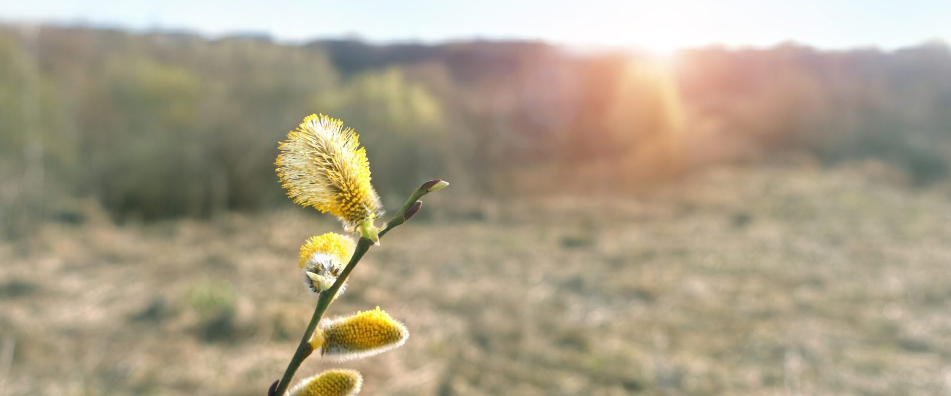 Vremea se răcește drastic: temperaturi de minus 7 grade Celsius anunțate pentru perioada următoare Românii se pregătesc pentru o schimbare radicală a vremii